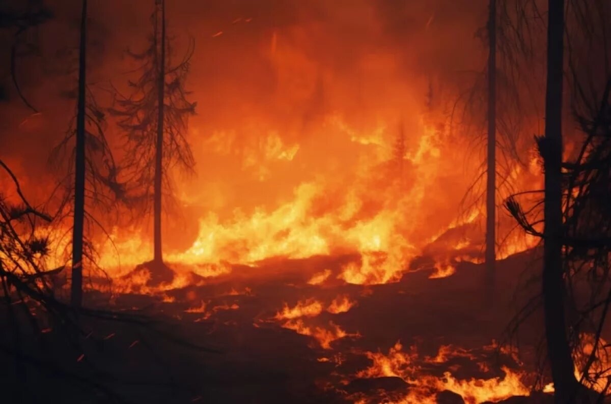    Глава села в Хабаровском крае не защитил людей от огня и получил штраф