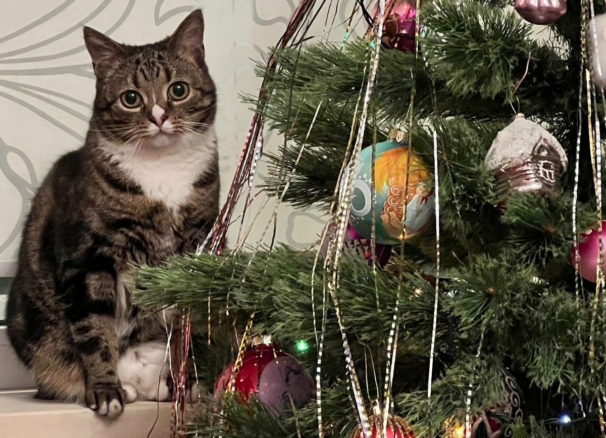 Фото: Neva.Today/Дарья Вовк