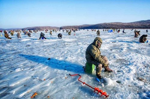 Зимой, сразу после ледостава, много мирной рыбы кормится на мелководье. Здесь она находит пропитание среди остатков растений. Возле нее держится и хищник. Именно здесь, в местах, где из воды выступает водная растительность или на дне лежат коряги, в начале зимы можно получить отличные уловы.