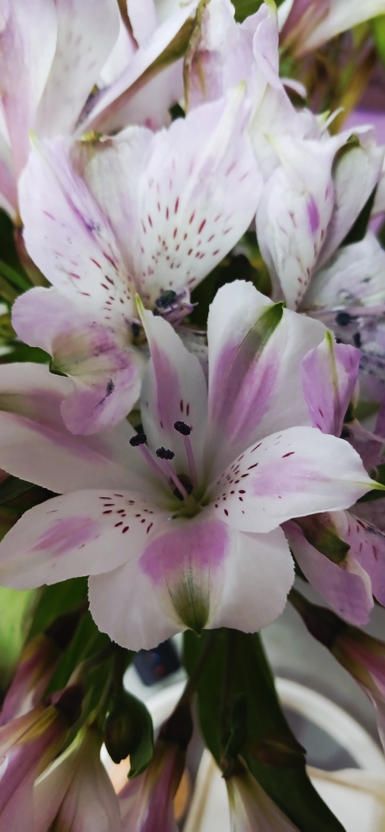 "Доброе утро, мир! Ты прекрасен!" Фото автора