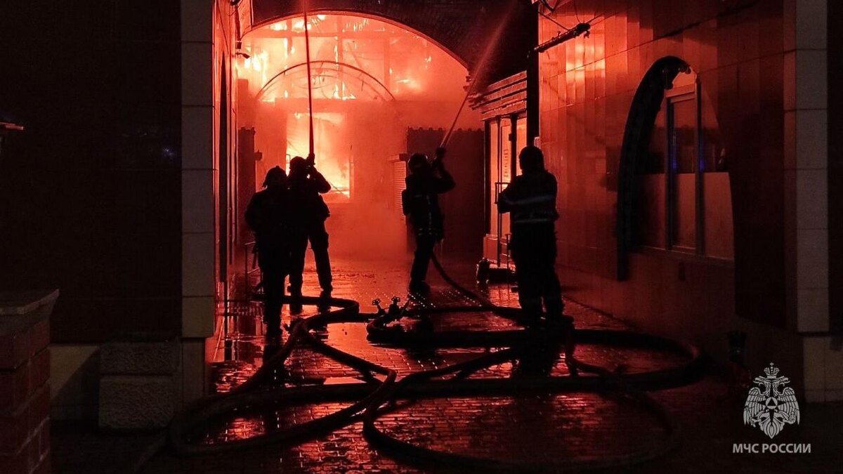    Фото: t.me/mchspetersburg