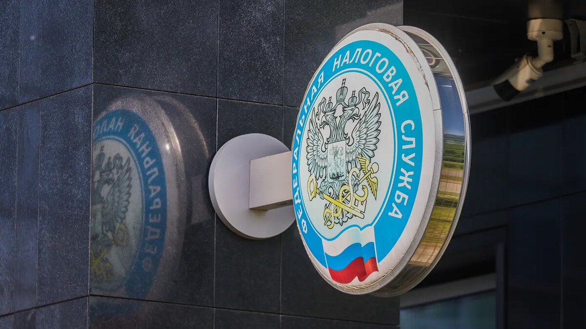   Наталья Шатохина / NEWS.ru / ТАСС