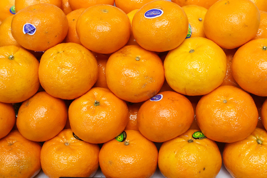    Сергей Петров/NEWS.ru