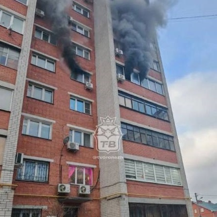     Фото: телеграм-канал «Типичный Воронеж»