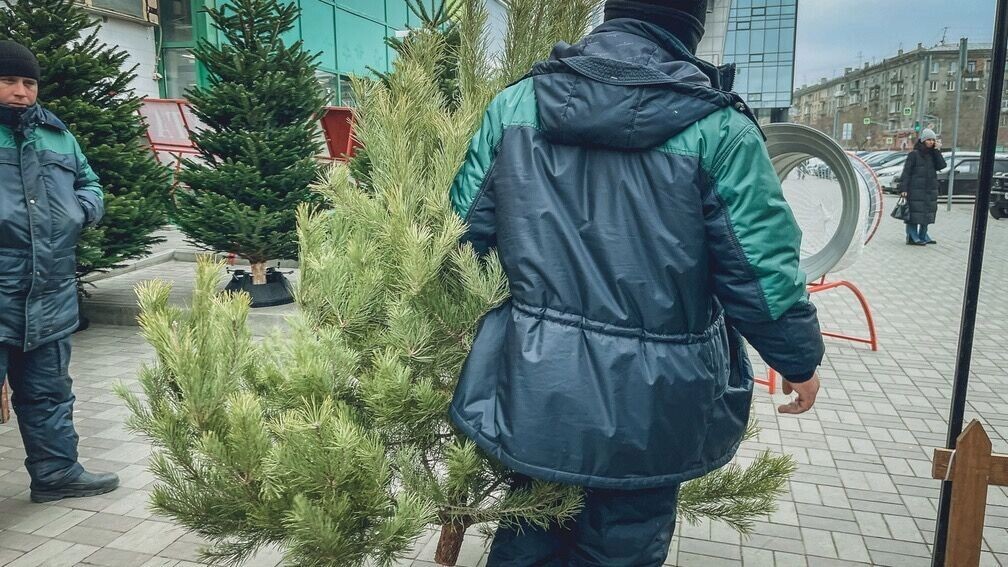     Источник: 1MI