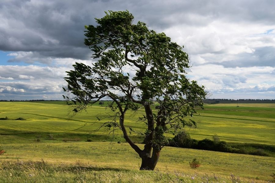 Фото: За гранью будней