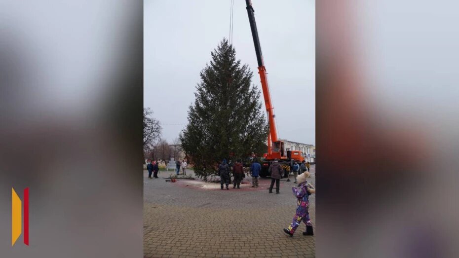    Автор фото: Виктория Высоцкая