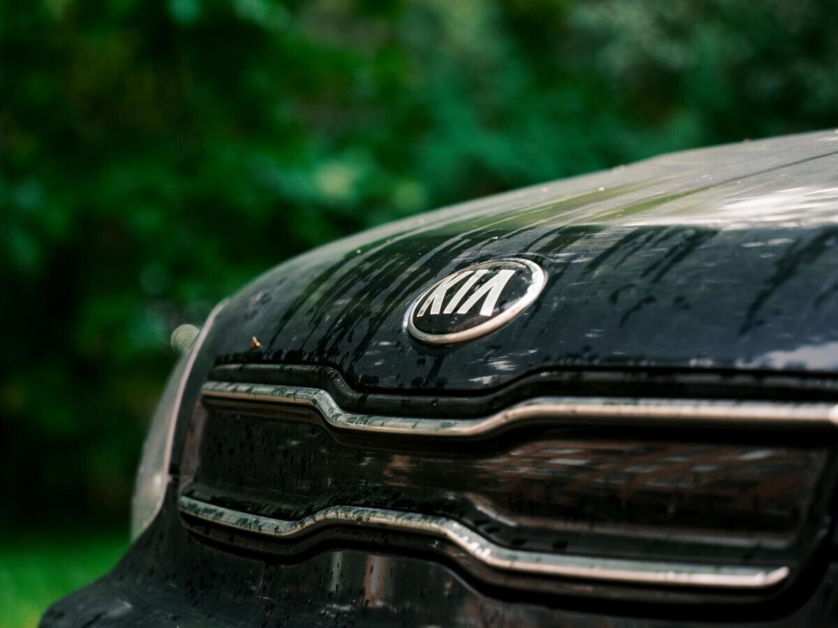    Логотип компании Kia на автомобиле | © РИА Новости / Алексей Даничев
