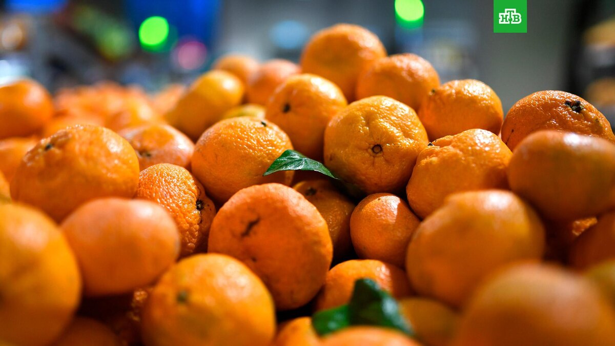    Фото: РИА Новости © 2025, Павел Бедняков