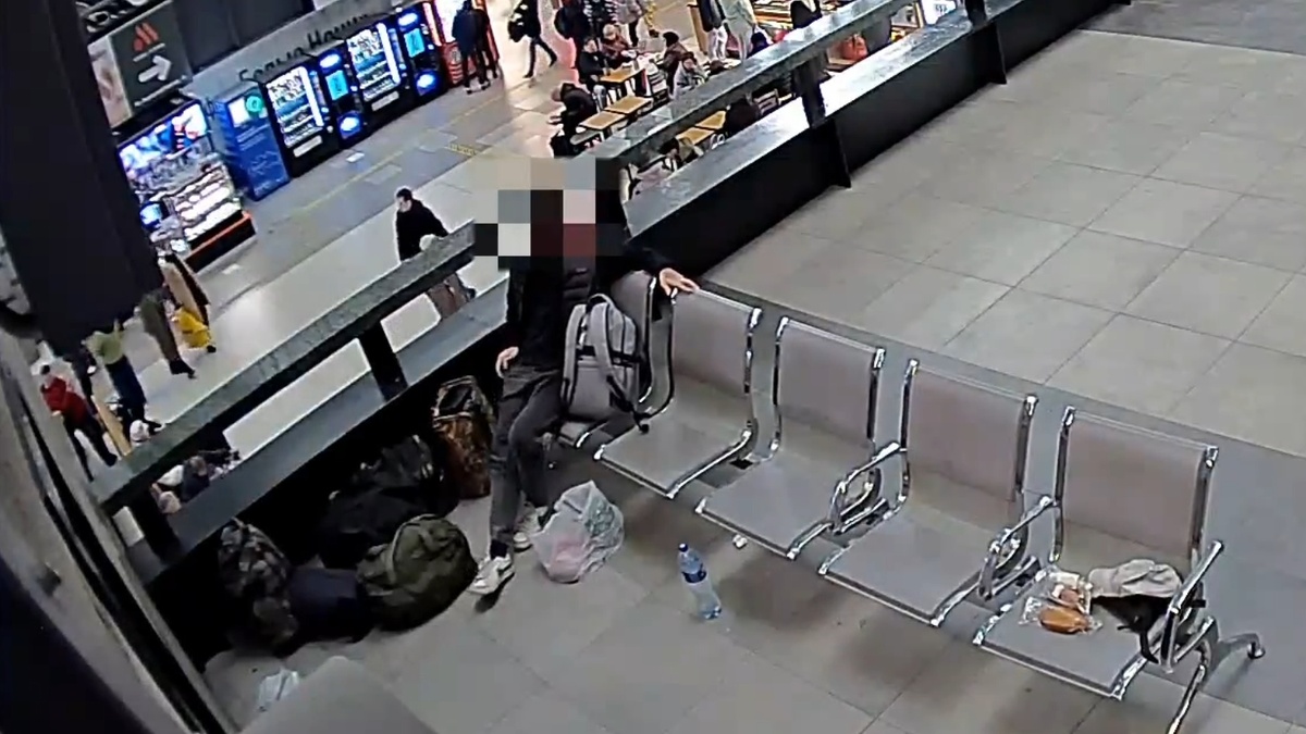    фото: © УТ МВД России по СЗФО