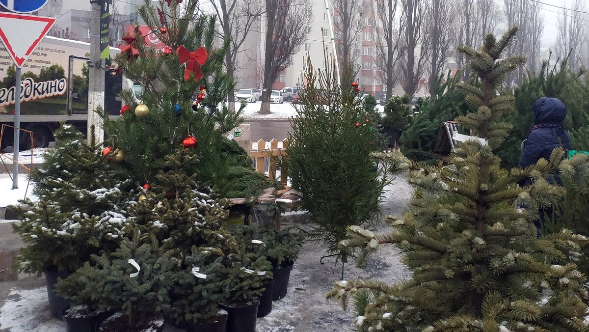    Фото: Виктория Передерий