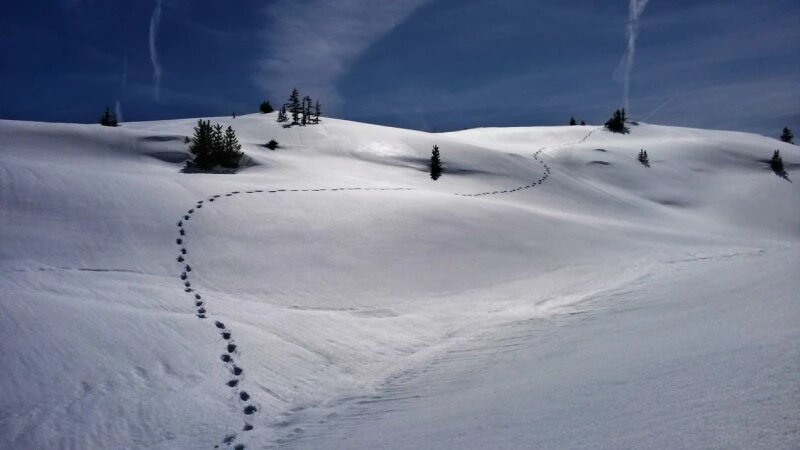     Снег в горах. СС0