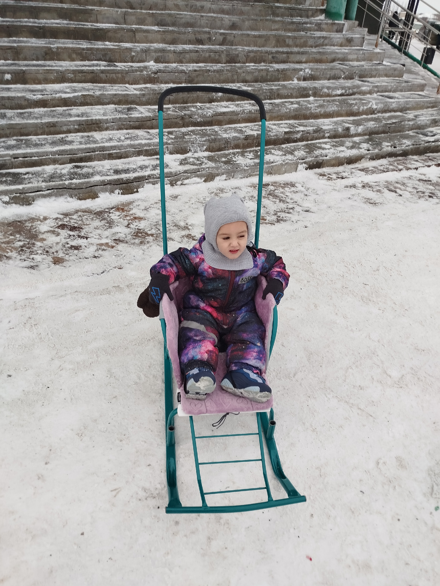 Наши новые сани. 