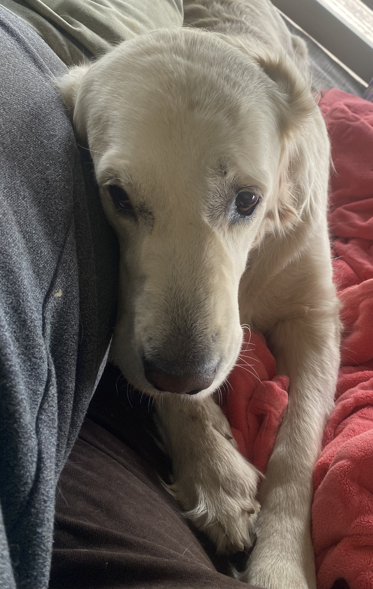 Моня очень любит прижиматься спиной.