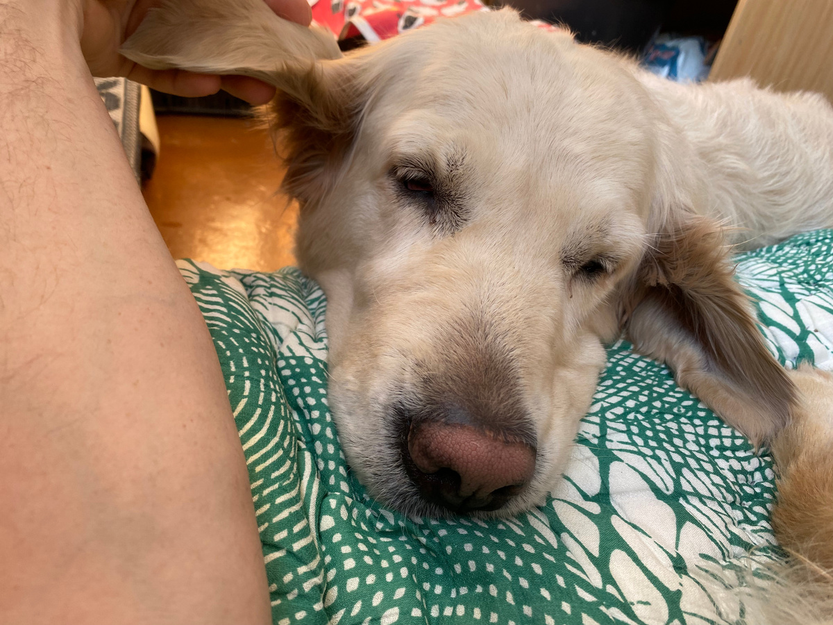 Это жест любви, спокойствия и принадлежности