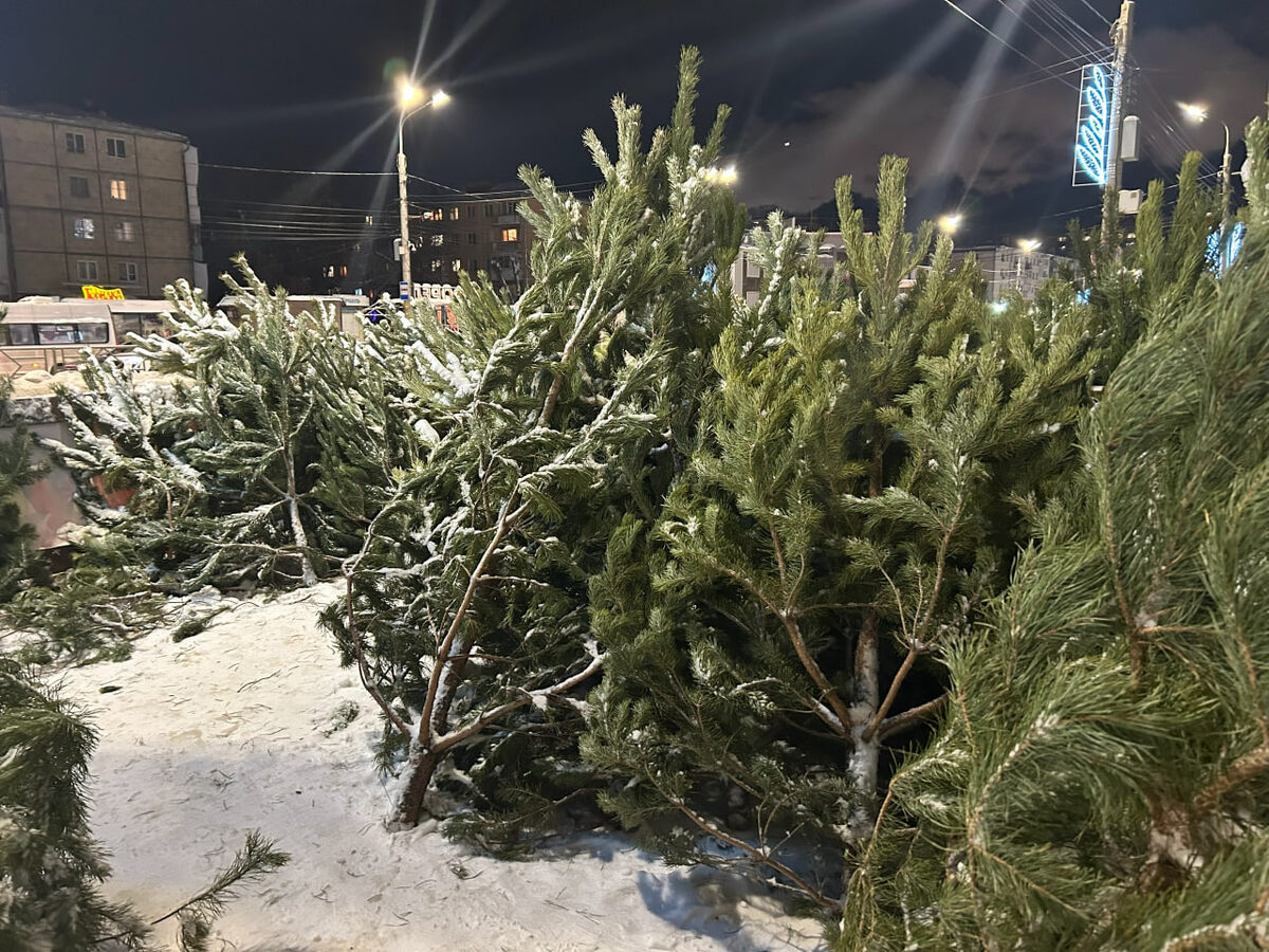    архив samaraonline24.ru