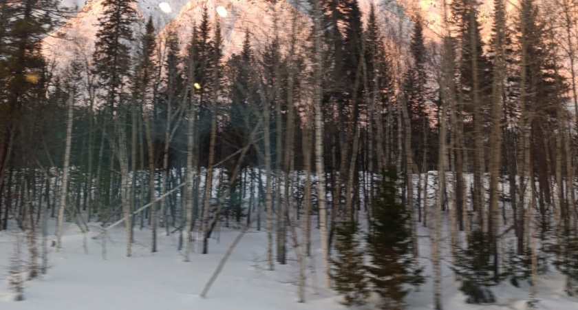    Фото irkutsk.news