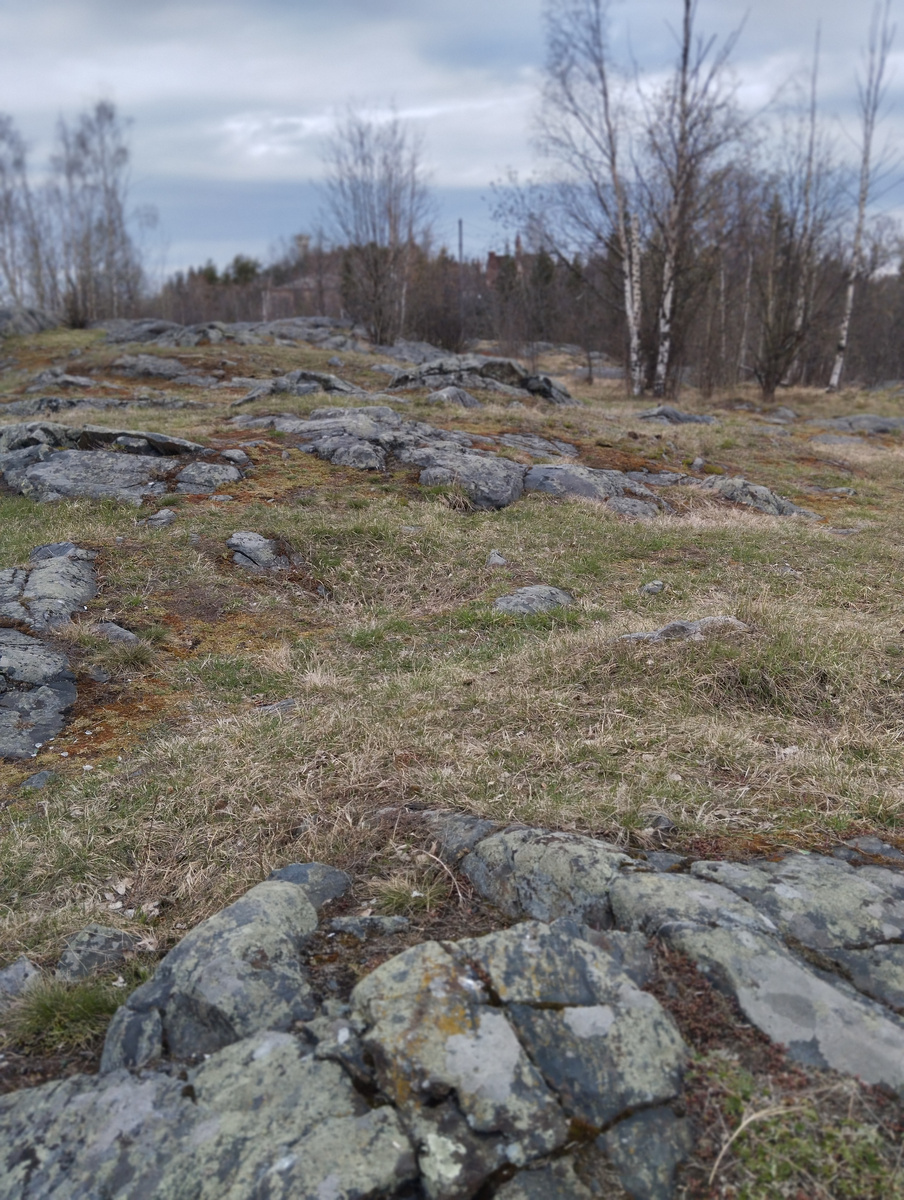 Ваккосалми парк