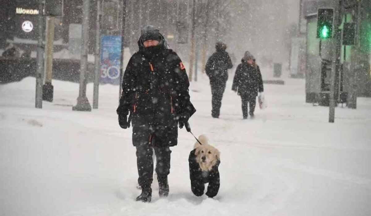     Снегопад. Источник: omsk.kp.ru Автор фото: Михаил Фролов