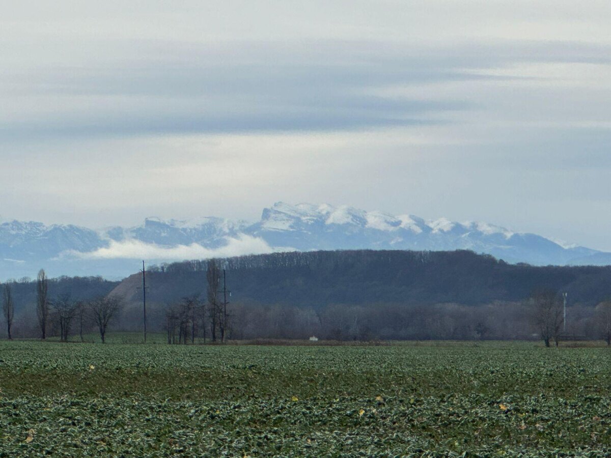 Предгорье. Мостовской район. Фото автора.