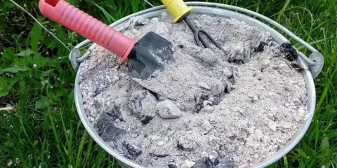 Зола, шелуха, дрожжи — не мусор, а суперудобрение. 20 способов накормить сад бесплатно