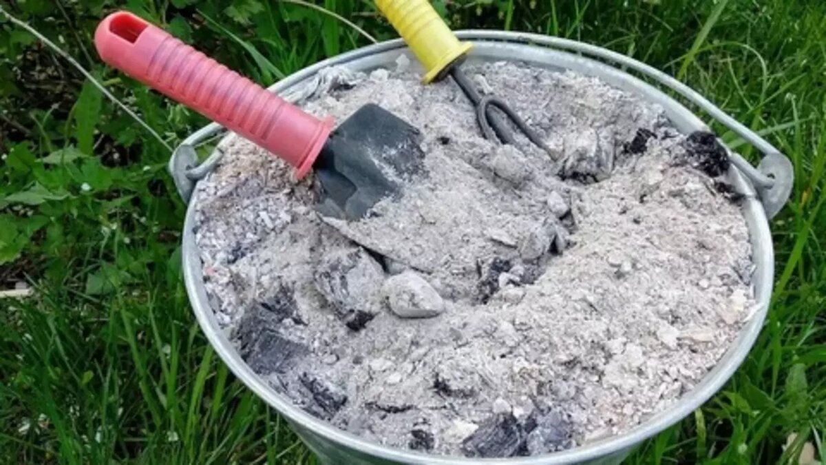 Древесная зола — калий, фосфор и раскисление за копейки