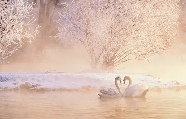 Ласковая зима