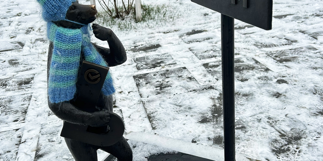 Пермь - город медведей. Их можно встретить прямо на набережной!