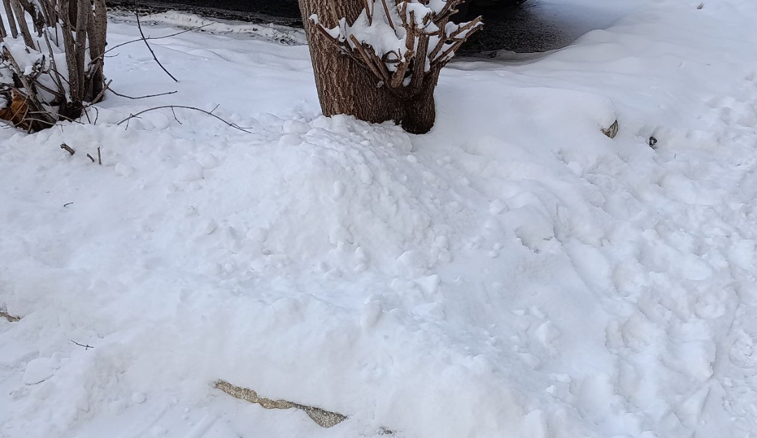 Фото: Мария Кущиди