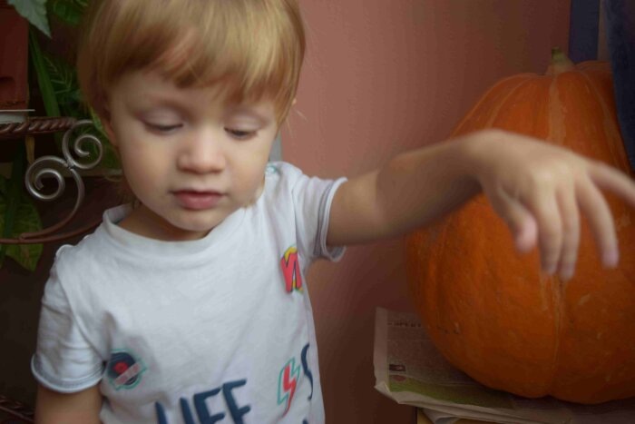 Эта тыква уже никогда не превратится в шикарную квартиру / Фото: Vostok.Today