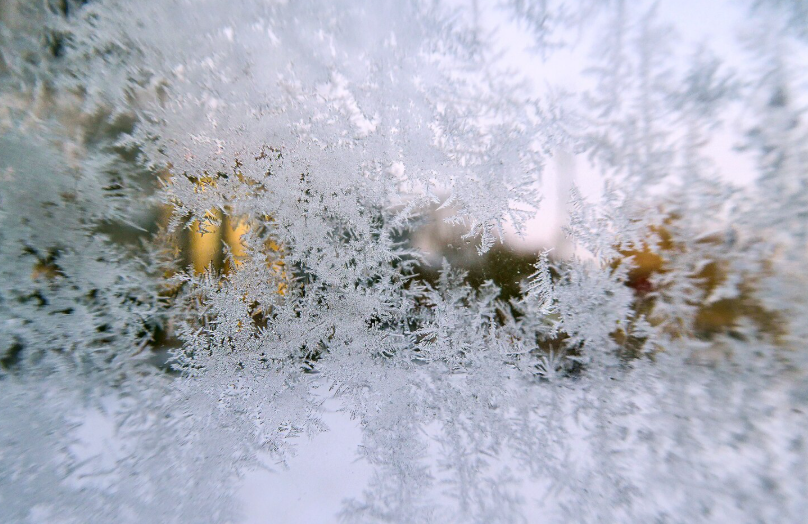 Фото: freepik / wirestock