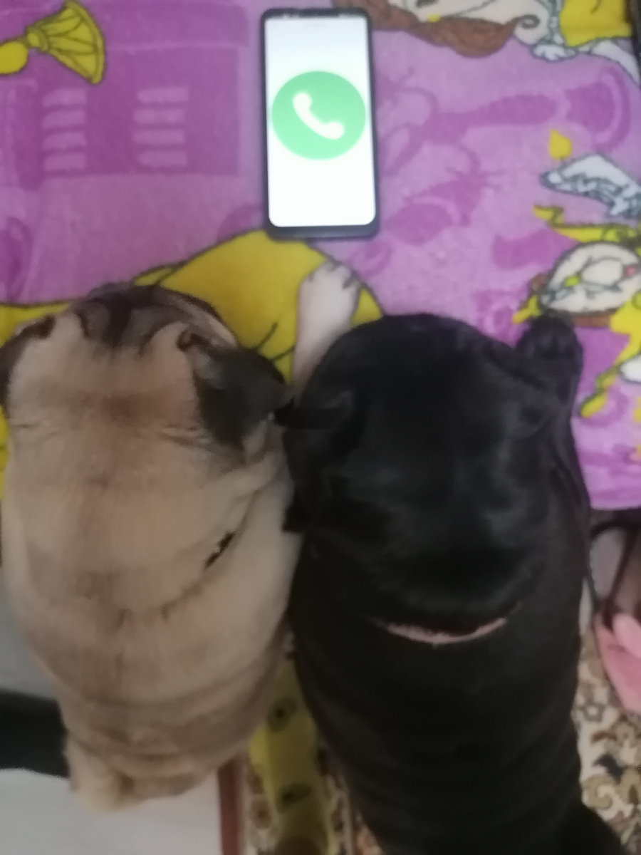 Вот так как то.. 