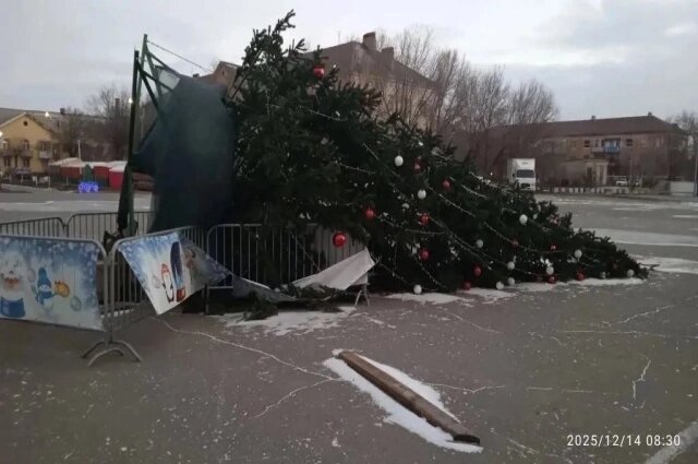    Фото: Соцсети