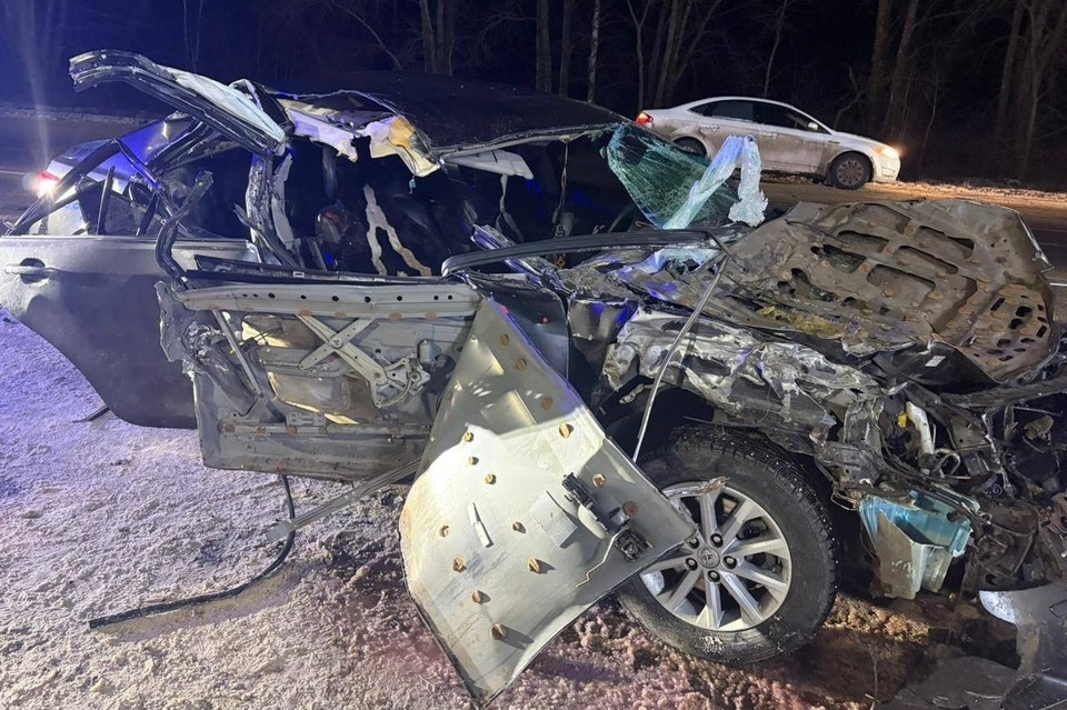    Семья в легковушке попала под грузовик. Фото: Госавтоинспекция Рязанской области.