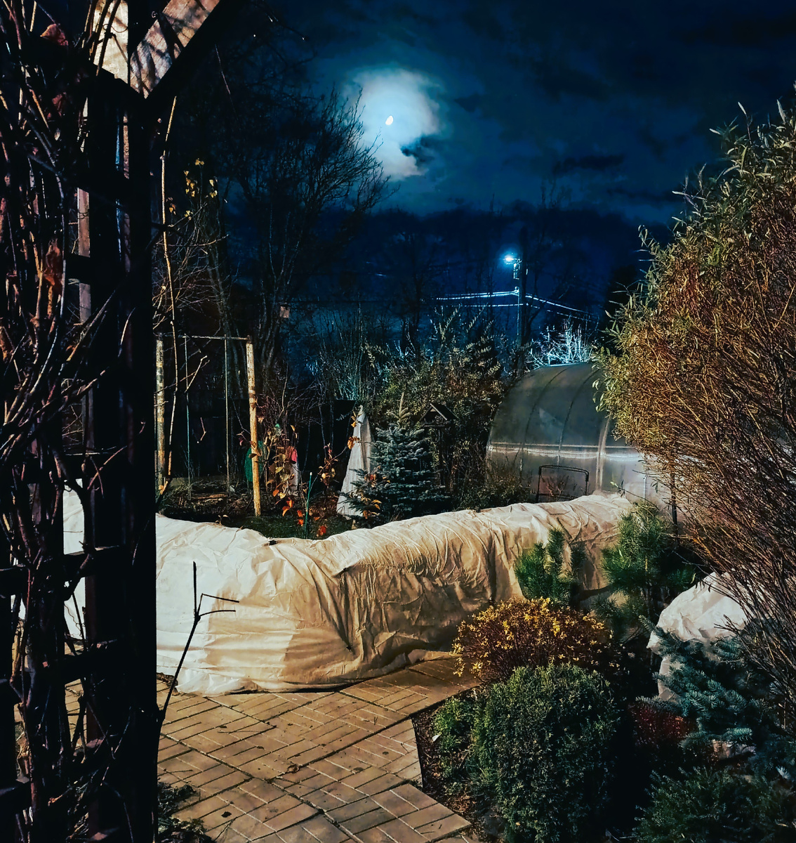 Садовод осенью действует под покровом ночи