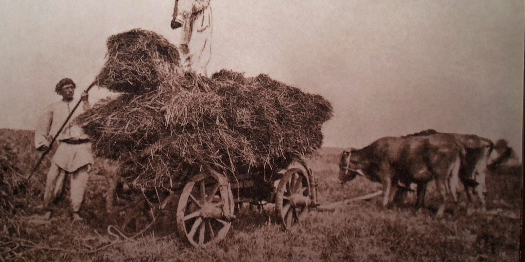 Почему у наших предков было 9 дней в неделе и как они назывались?