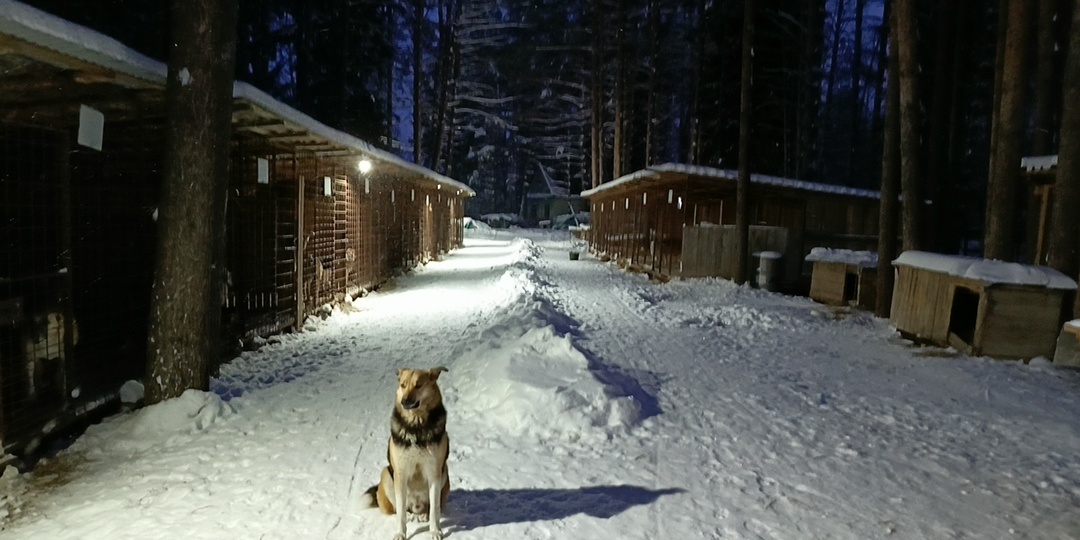 С колько стоит доброта? И куда может привести