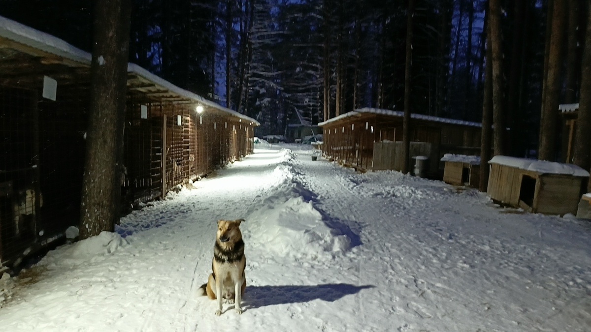Лучше находиться в Дзене, как Джек, который познал этот мир, и ничего от него не ждет...)))