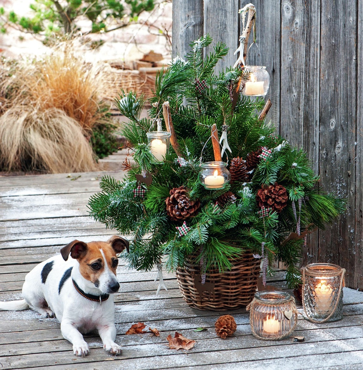    Вместо новогодней елки на террасе можно расположить корзину, заполненную пушистыми ветками ели и сосны