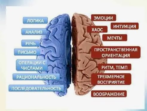 Нужен ли текст в карточке. Часть 2, про ЦА