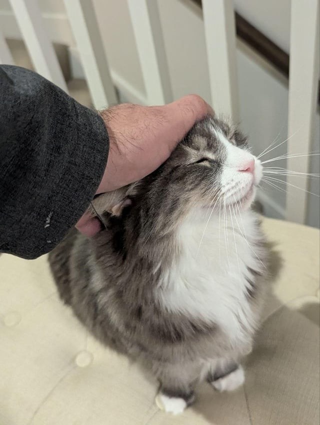 Источник: redd.it