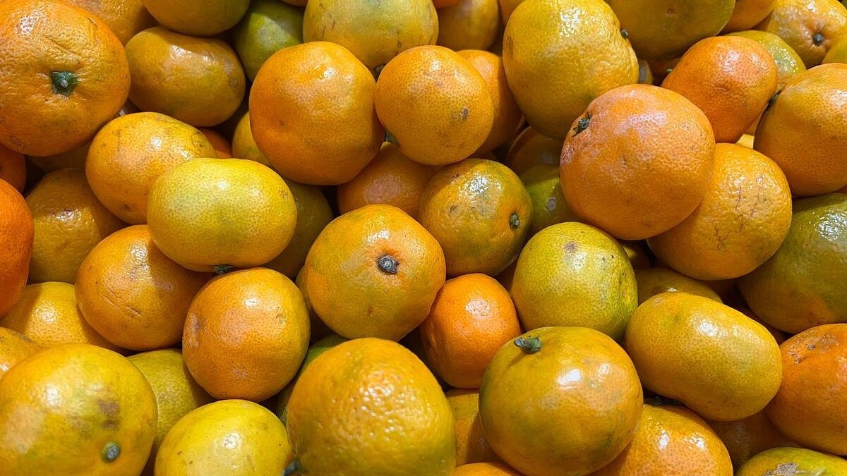    Фото: телеканал «Краснодар»