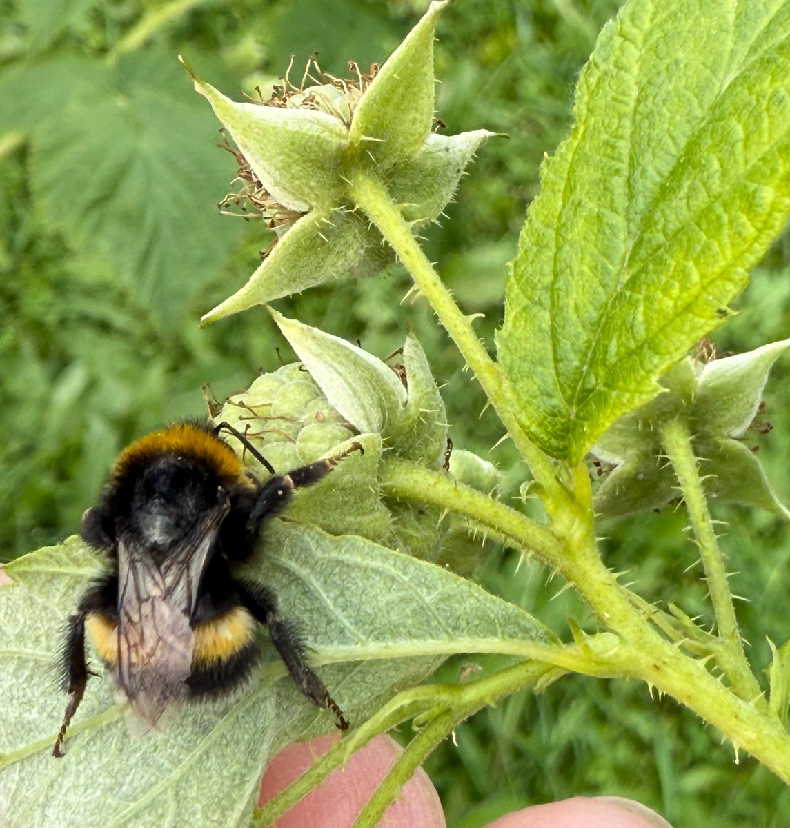 Скоро новый год, а уже мечтаем о лете