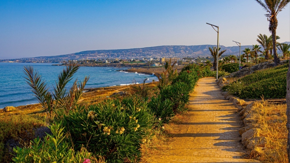     Фото: Ekaterina Narozhnova/Shutterstock/FOTODOM