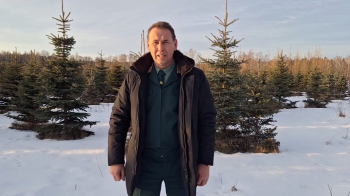    скрин: t.me/vycheslav_deviterikov