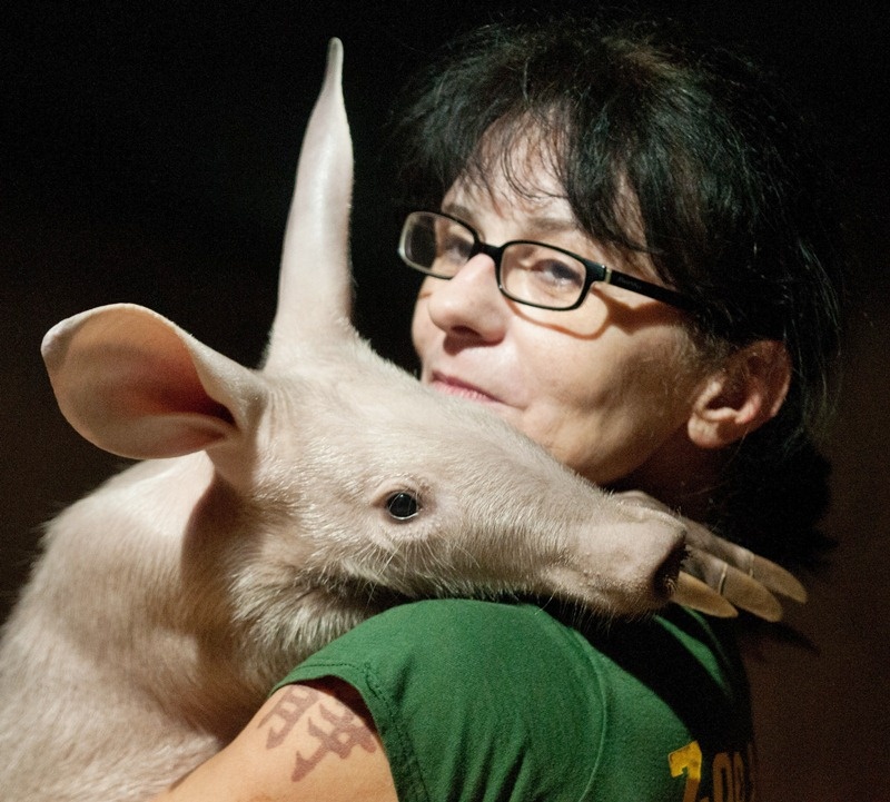 Днем он — сама невинность. Батарейка заряжается для ночного «тыгыдыка». 😴