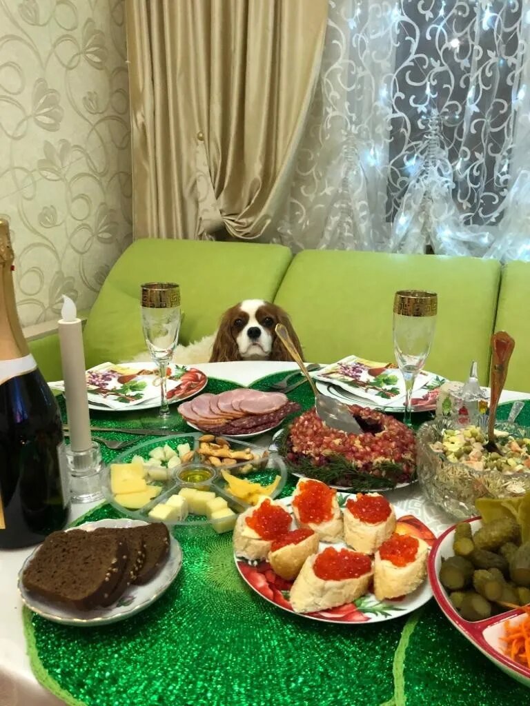 Нижний Новгород, встреча Нового Года в гостях