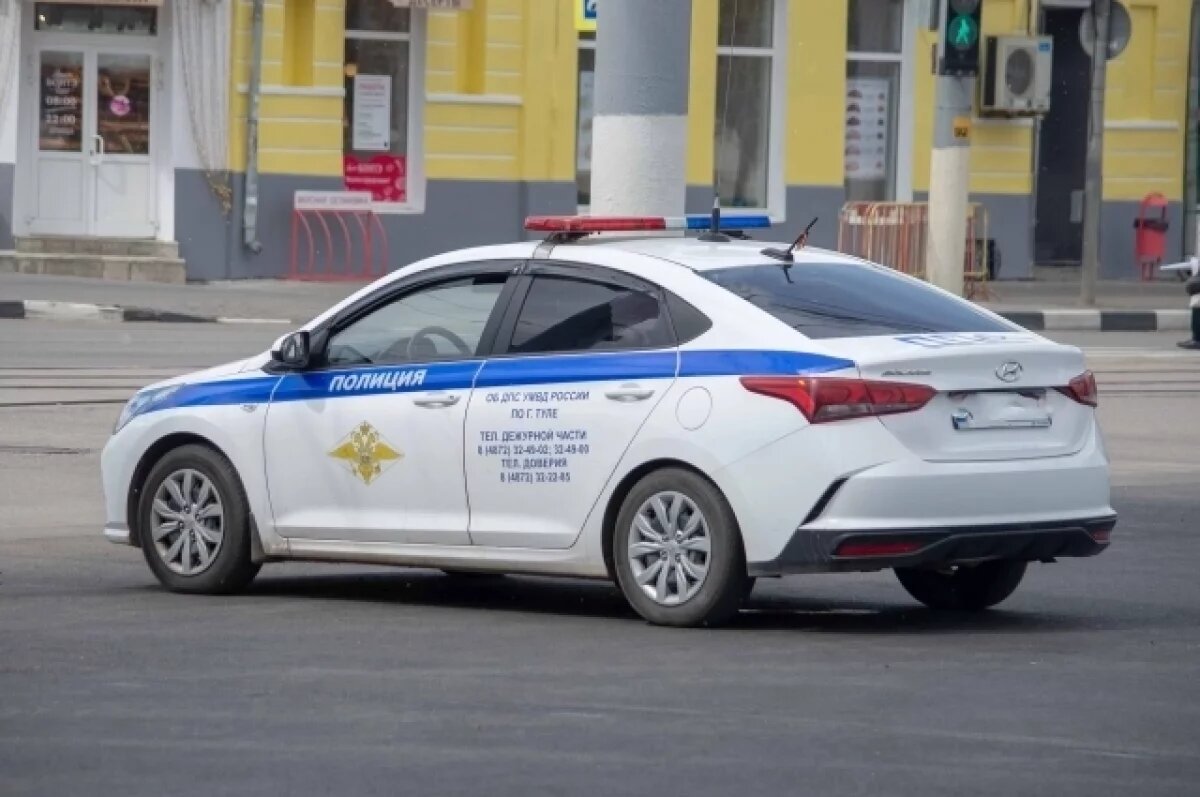    Стали известны подробности смертельной потасовки в деревне Тульской области