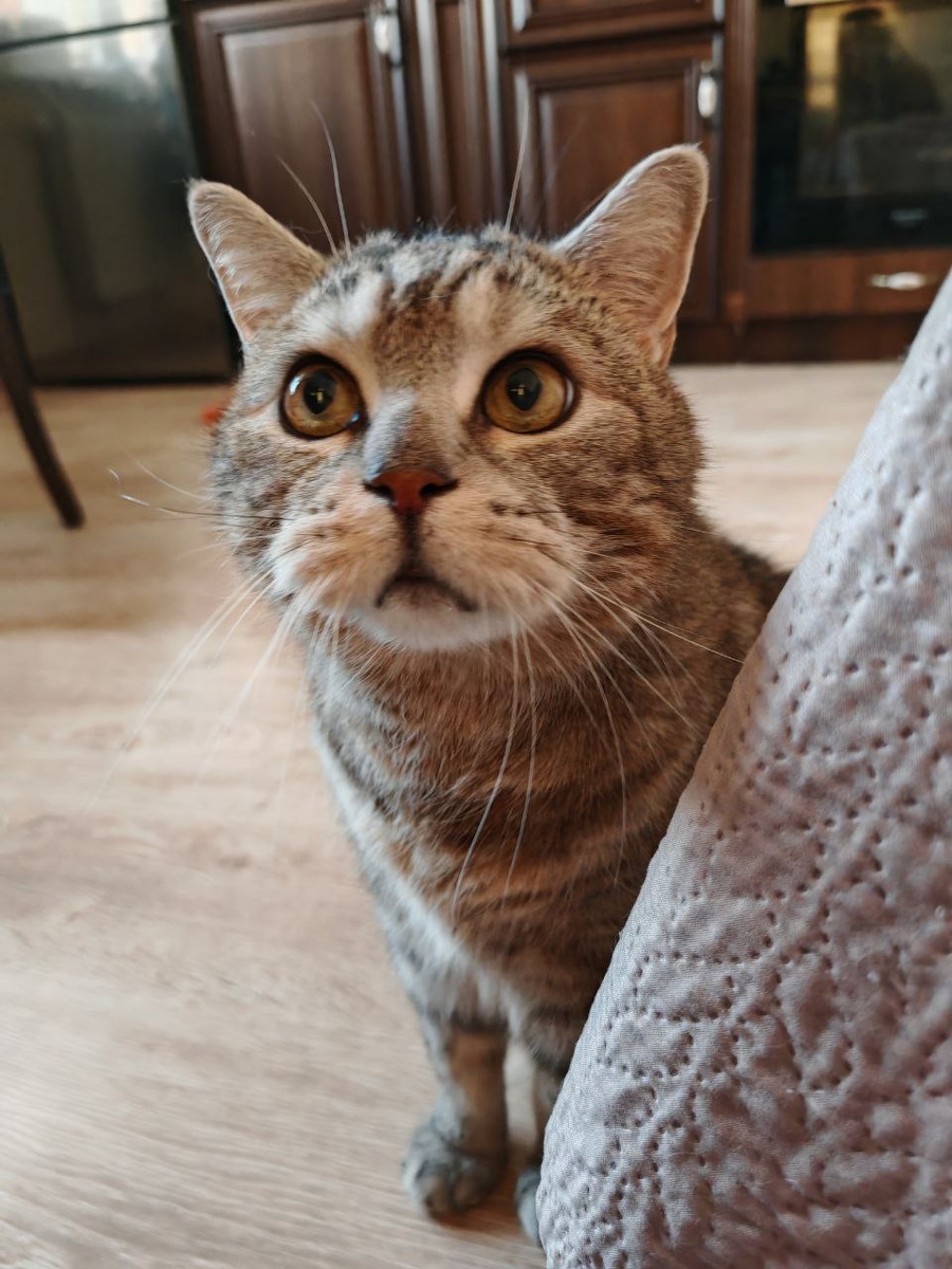 #Астропрогноз на 15-21 декабря 2025. Ключевые аспекты дня