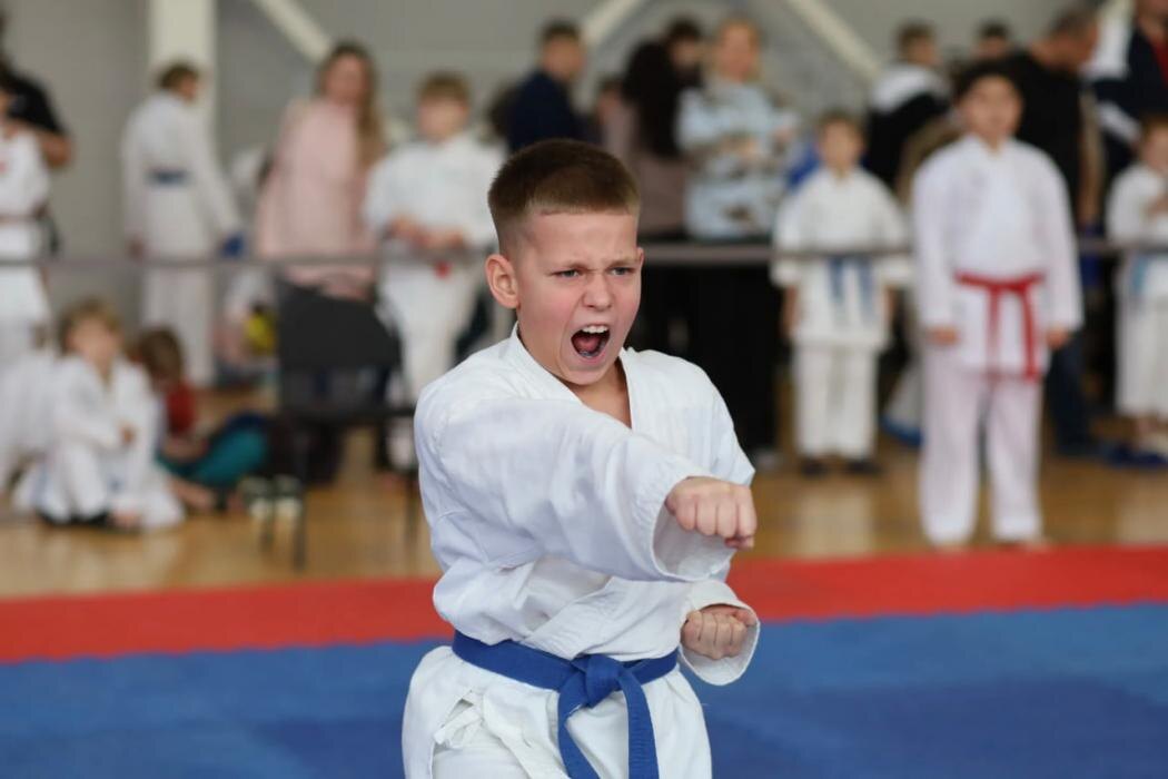 Областные чемпионат и первенство по карате WKF прошли в Пскове
Фото: Федерация карате WKF Пскова